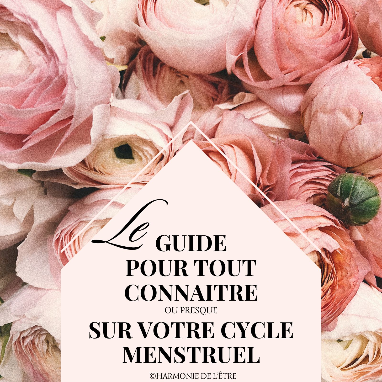le guide pour tout connaître ou presque sur votre cycle menstruel